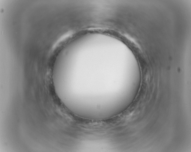 X0000088661351200706152022