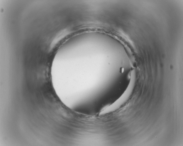 X0000088661352200706152022