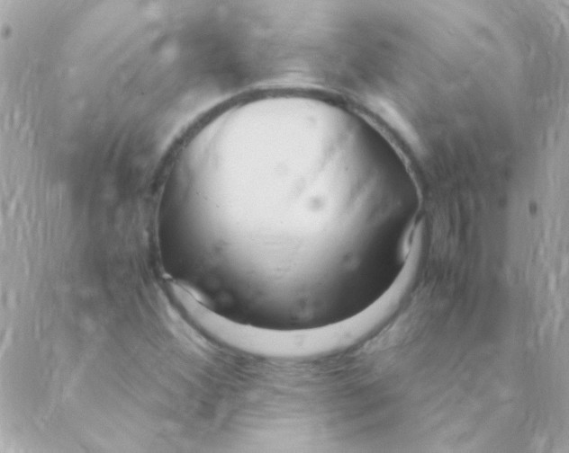 X0000088661356200706152022