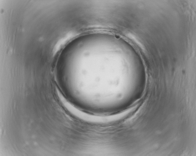 X0000088661357200706152022