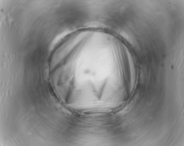 X0000088661358200706152022