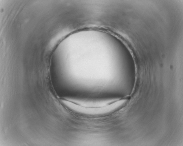 X0000088661359200706152022