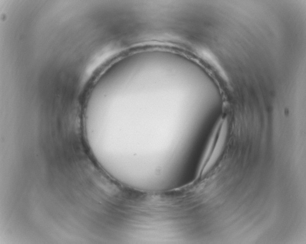 X0000088661360200706152022