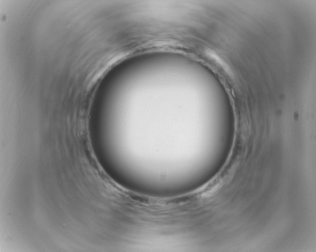 X0000088661361200706152022