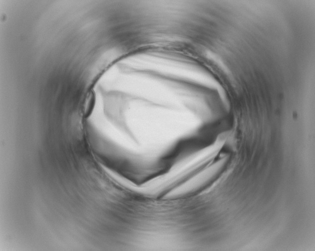 X0000088661362200706152022