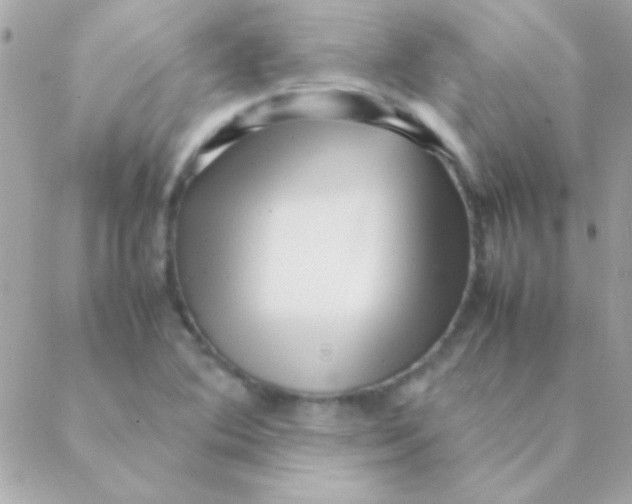 X0000088661364200706152022