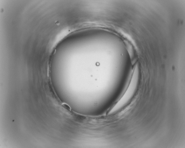 X0000088661365200706152022