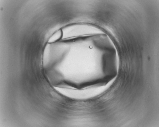 X0000088661366200706152022