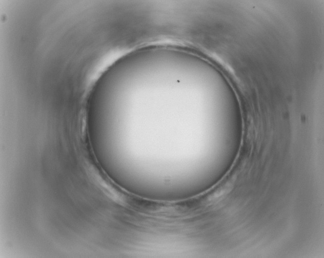 X0000088661367200706152022