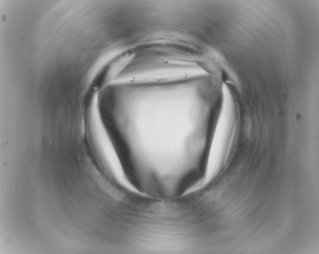 X0000088661368200706152022