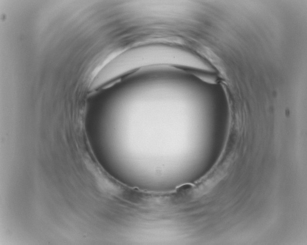 X0000088661369200706152022