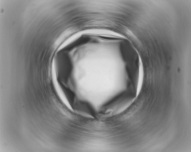 X0000088661370200706152022