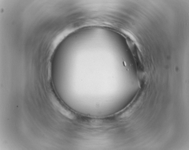 X0000088661371200706152022