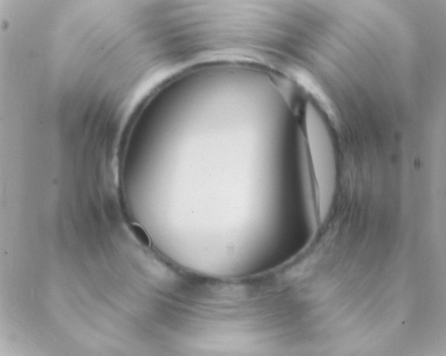 X0000088661372200706152022