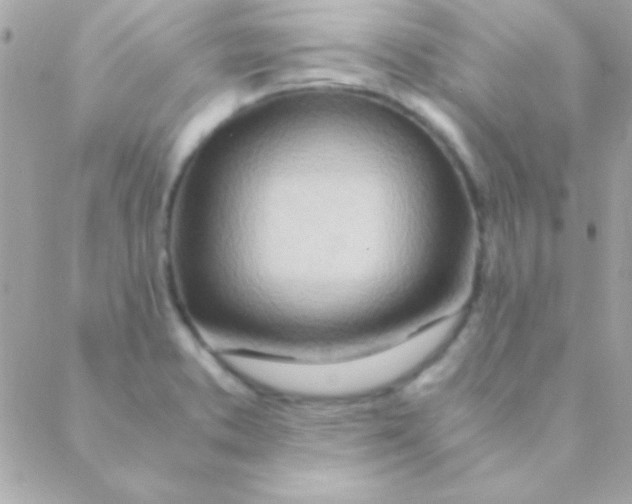 X0000088661373200706152022