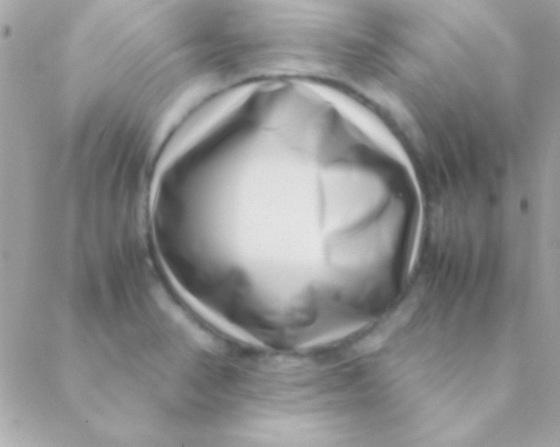 X0000088661374200706152022