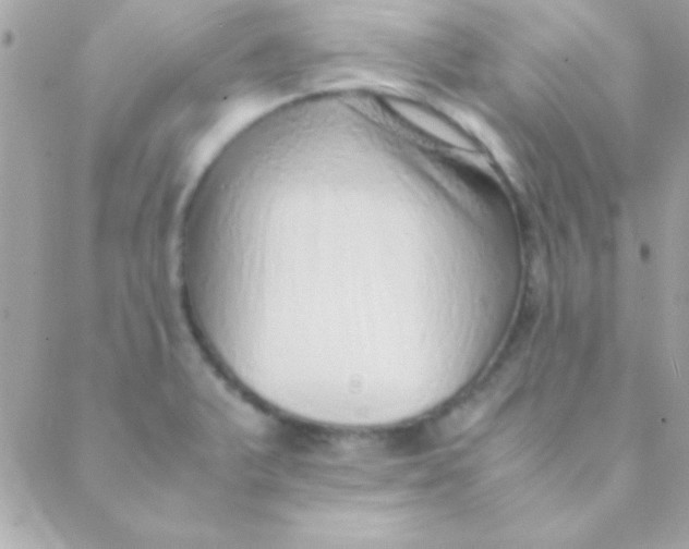 X0000088661375200706152022