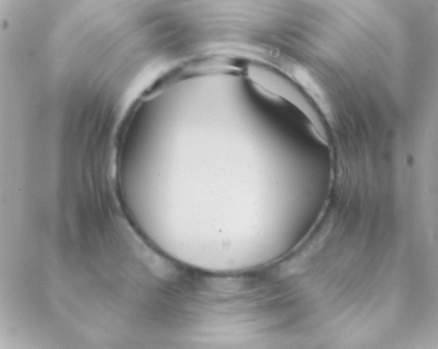 X0000088661376200706152022