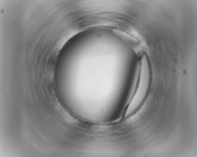 X0000088661377200706152022