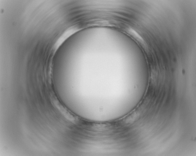 X0000088661378200706152022