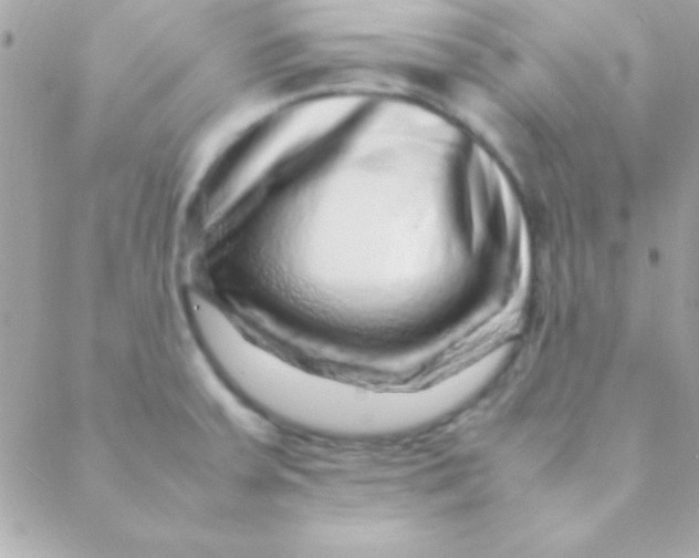 X0000088661379200706152022