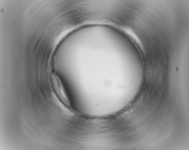 X0000088661380200706152022