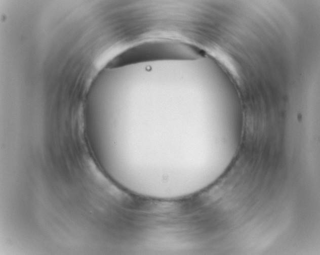 X0000088661382200706152022