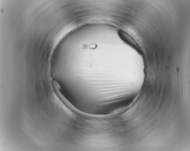 X0000088661384200706152021