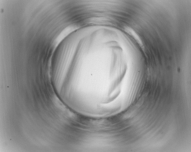 X0000088661386200706152021