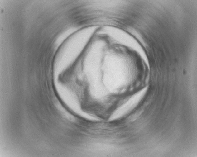 X0000088661387200706152021