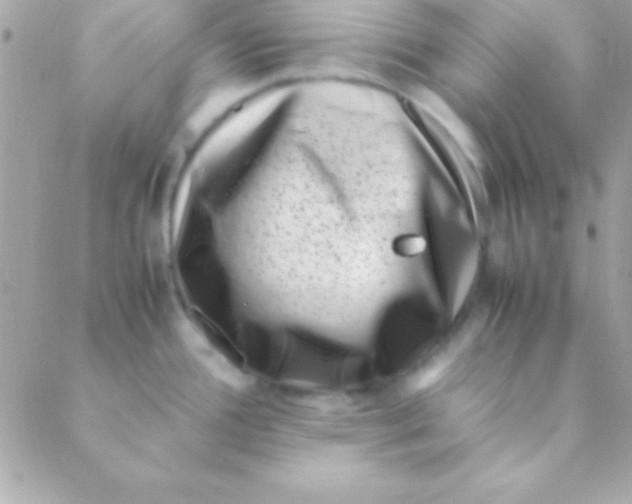 X0000088661388200706152021