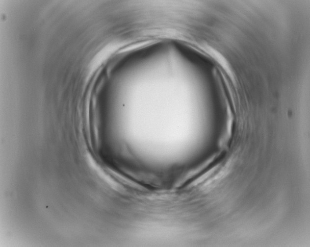 X0000088661389200706152021