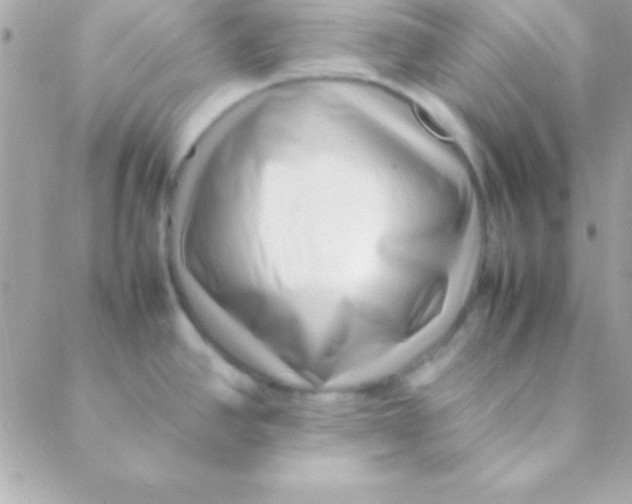 X0000088661390200706152021