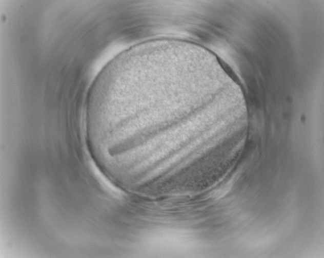 X0000088661391200706152021