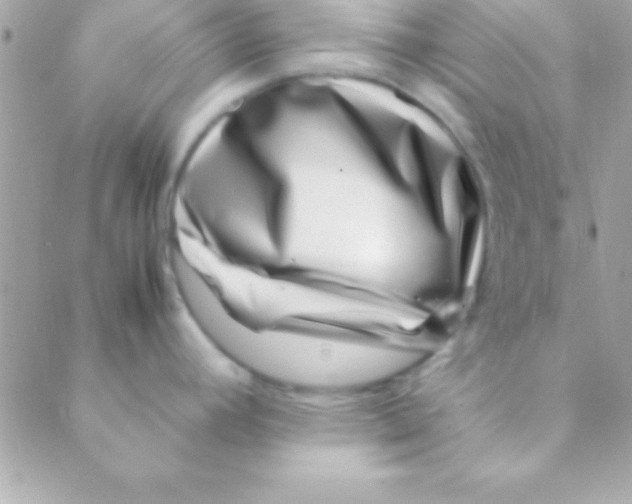 X0000088661392200706152021