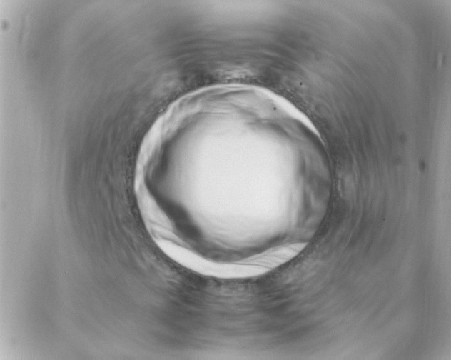 X0000088661393200706152021