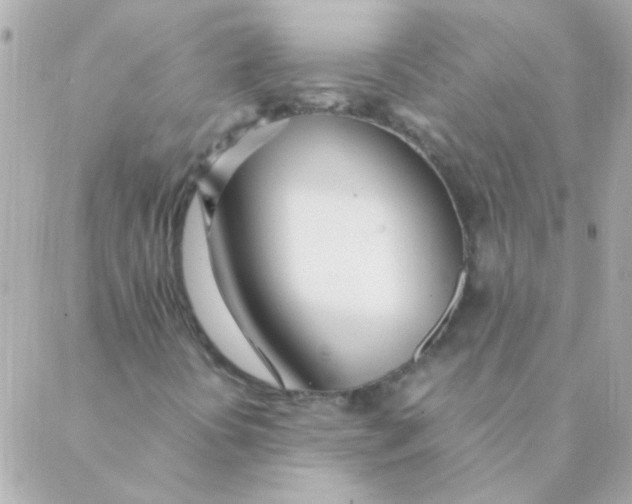 X0000088661394200706152021