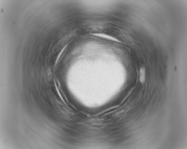 X0000088661395200706152021