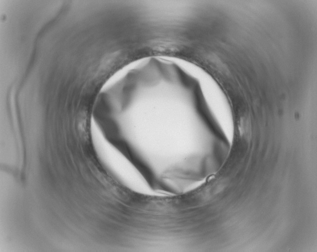 X0000088661396200706152021