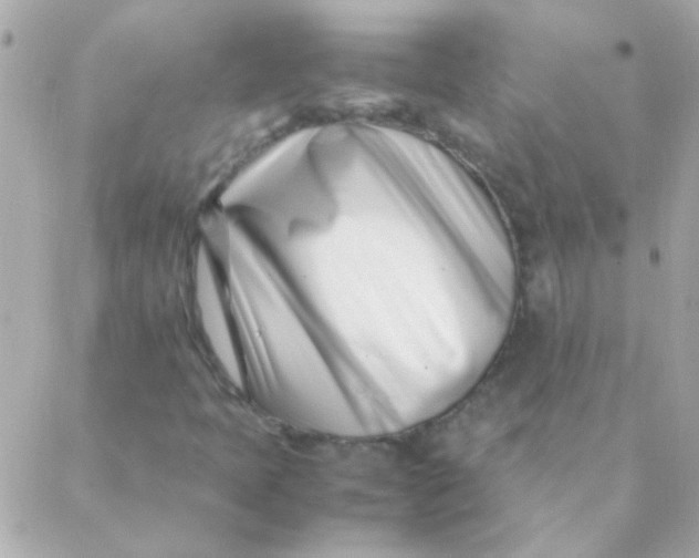 X0000088661397200706152021