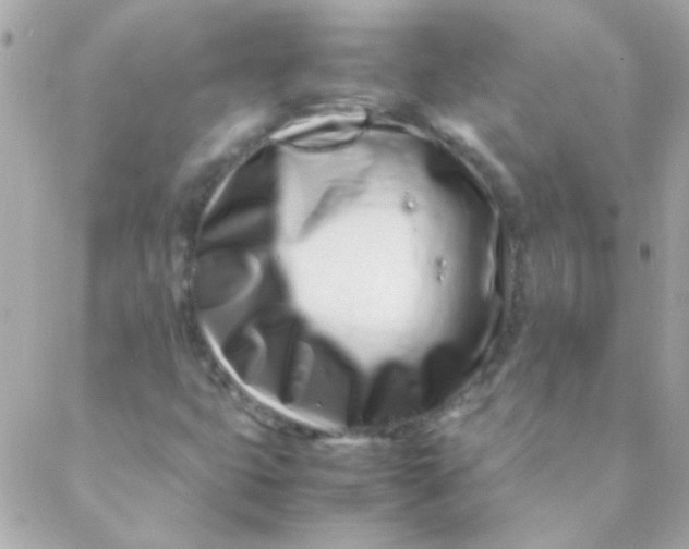 X0000088661399200706152021