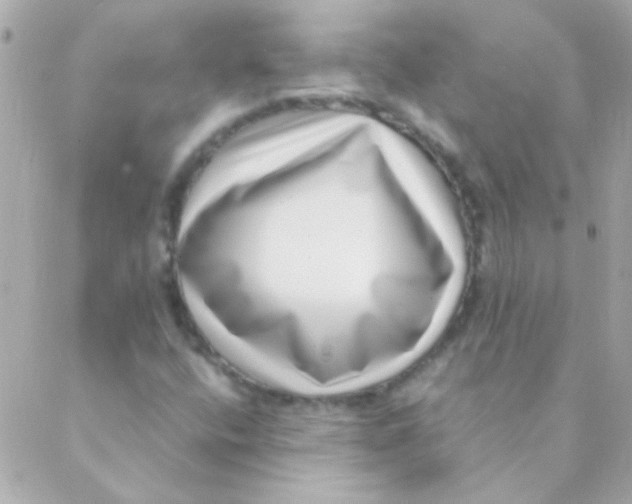 X0000088661400200706152021