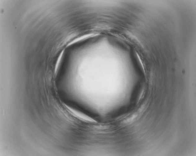 X0000088661401200706152021