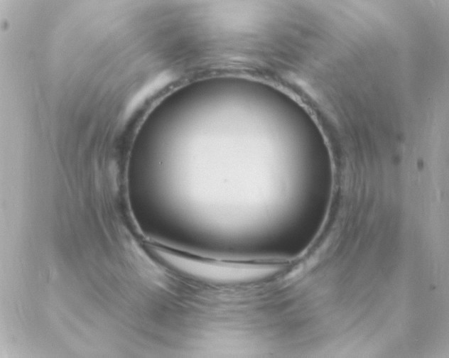 X0000088661402200706152021