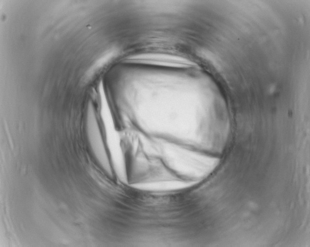 X0000088661403200706152021