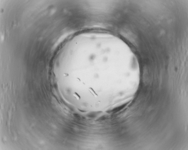 X0000088661404200706152021