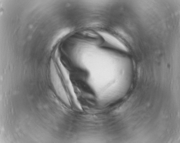 X0000088661405200706152021