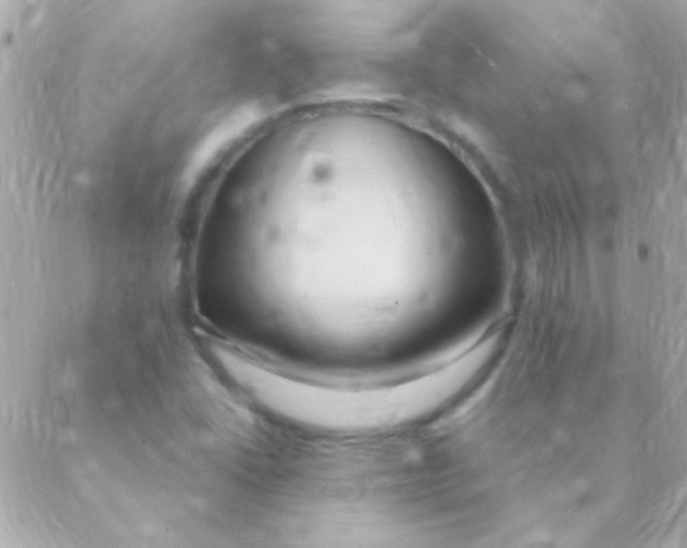 X0000088661406200706152021