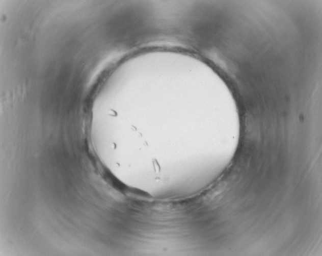 X0000088661408200706152021