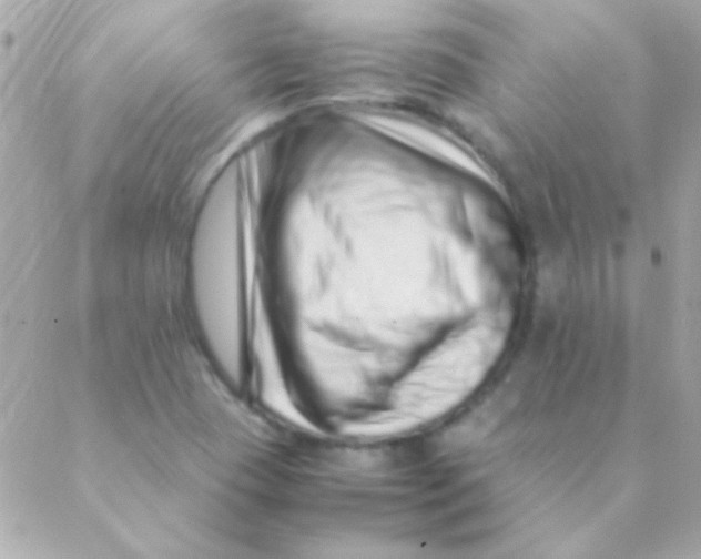 X0000088661409200706152021